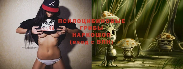 ПСИЛОЦИБИНОВЫЕ ГРИБЫ Новокубанск