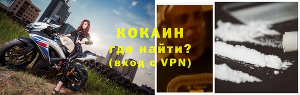 ПСИЛОЦИБИНОВЫЕ ГРИБЫ Новокубанск