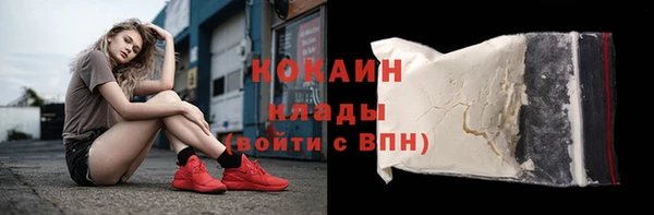 тгк Новозыбков