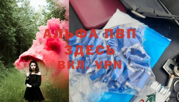 Альфа ПВП Новодвинск