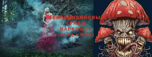 экстази Бежецк