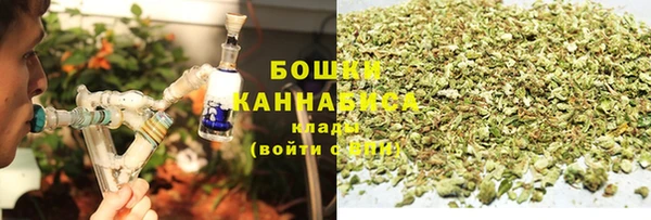 тгк Новозыбков