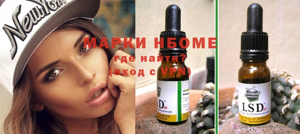 тгк Новозыбков