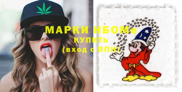 тгк Новозыбков