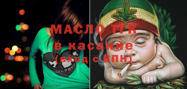 тгк Новозыбков