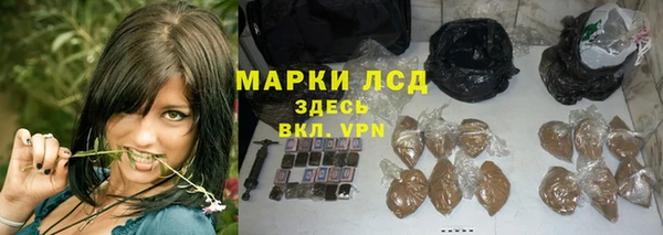 Альфа ПВП Новодвинск