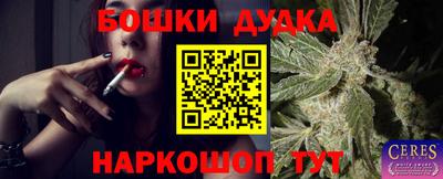 ECSTASY Ливны