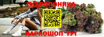 ECSTASY Ливны