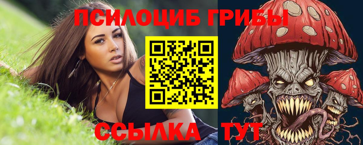 Псилоцибиновые грибы мицелий  Ялта 