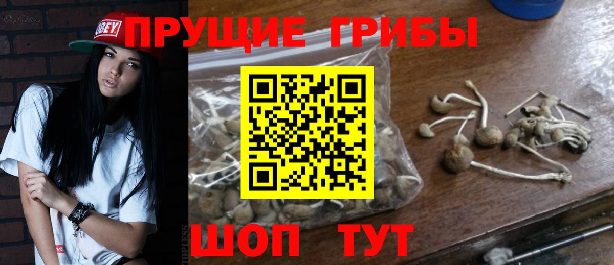 Ялта  Псилоцибиновые грибы мицелий  Псилоцибиновые грибы прущие грибы  Вход с VPN 